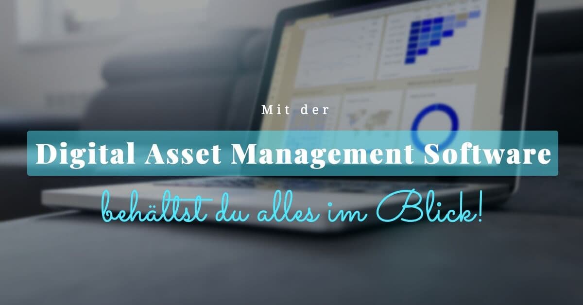 Digital Asset Management Software: 8+ Tools im Überblick!