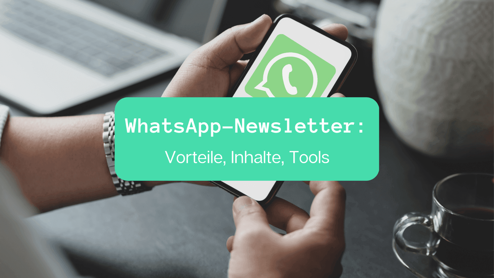 Das beste WhatsApp Newsletter Tool | Welches ist es?
